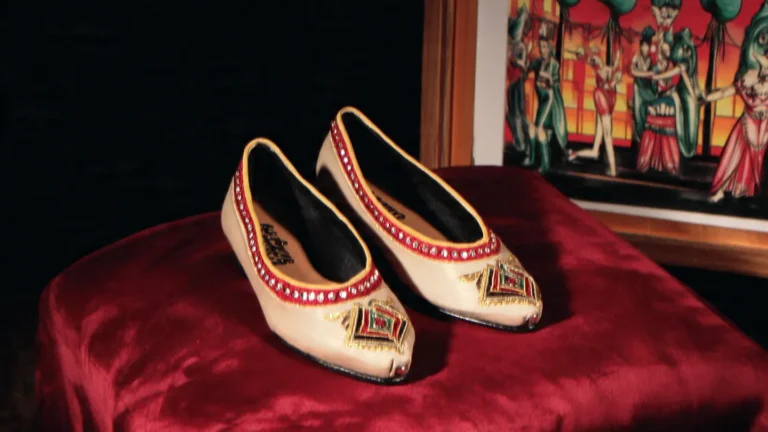 Launch your Behala-based Jutti boutique for just ₹10k. Includes high-speed product galleries, size-fit tutorials, and SSL to convert festive Facebook Ad traffic.