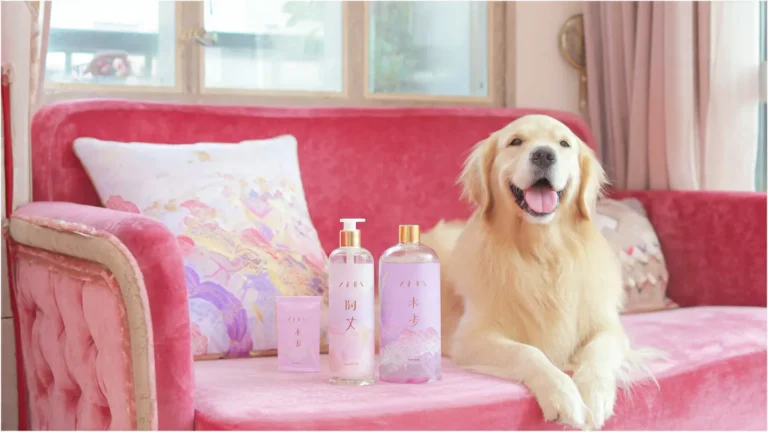 Launch your Behala-based luxury pet store for just ₹10k. Features breed-specific nutrition data, interactive sizing guides, and SSL to convert high-spending pet parents in South Kolkata.